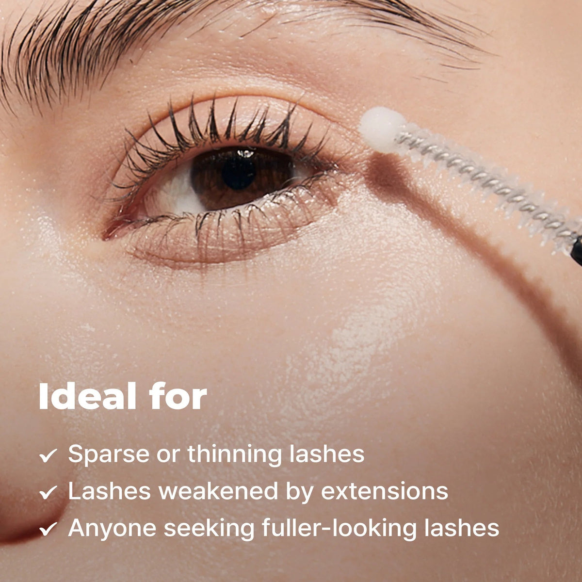 Peptide Lash&Brow Serum